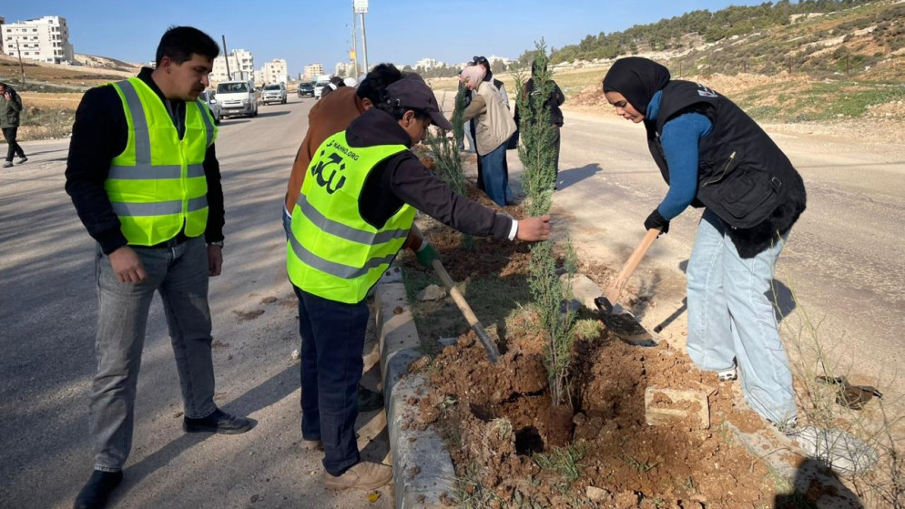 بمشاركة 50 شابا وشابة.. الإدارة المحلية تغرس 4500 شجرة في ناعور