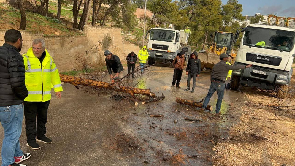 جرش: كوادر طوارئ دير الليات تتعامل مع سقوط شجرة على عامود كهرباء