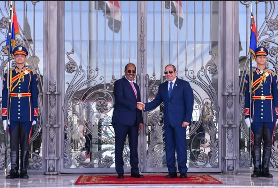 مصر تتهم صفحات إسرائيلية بمحاولة إثارة فتنة مع الصومال