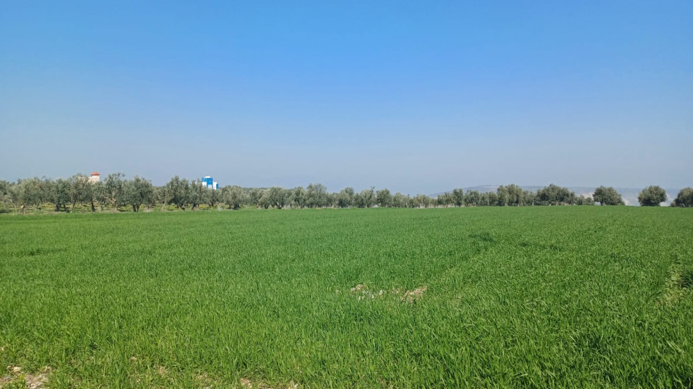 الاعتدال الربيعي يطل على الأردن.. تفاصيل الظاهرة الفلكية وموعد التساوي بين الليل والنهار