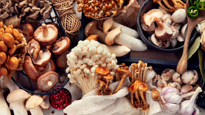 الفطر سلاحك السري لخفض ضغط الدم.. اكتشف فوائده