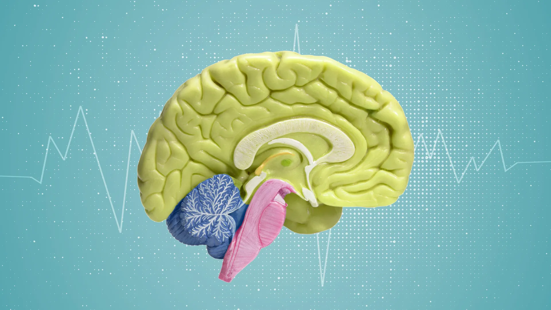 بعد السقوط.. متى يصبح الصداع علامة خطر تستدعي القلق؟