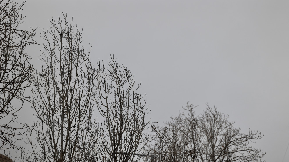 الأرصاد تحذر: أمطار رعدية غزيرة تضرب مناطق بالمملكة