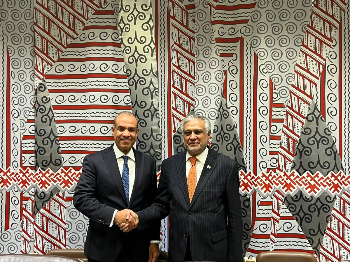 مصر وباكستان تعزيز التعاون لمواجهة تحديات المنطقة