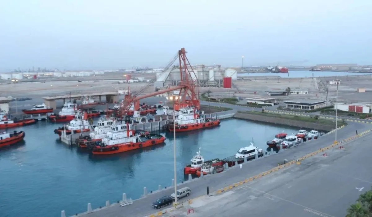 السعودية ترفع طاقة ضخ النفط عبر خط انابيب شرق غرب الى الحد الاقصى