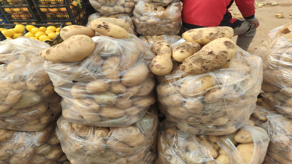 السوق المركزي يستقبل الاف الاطنان من الخضار والفواكه اليوم