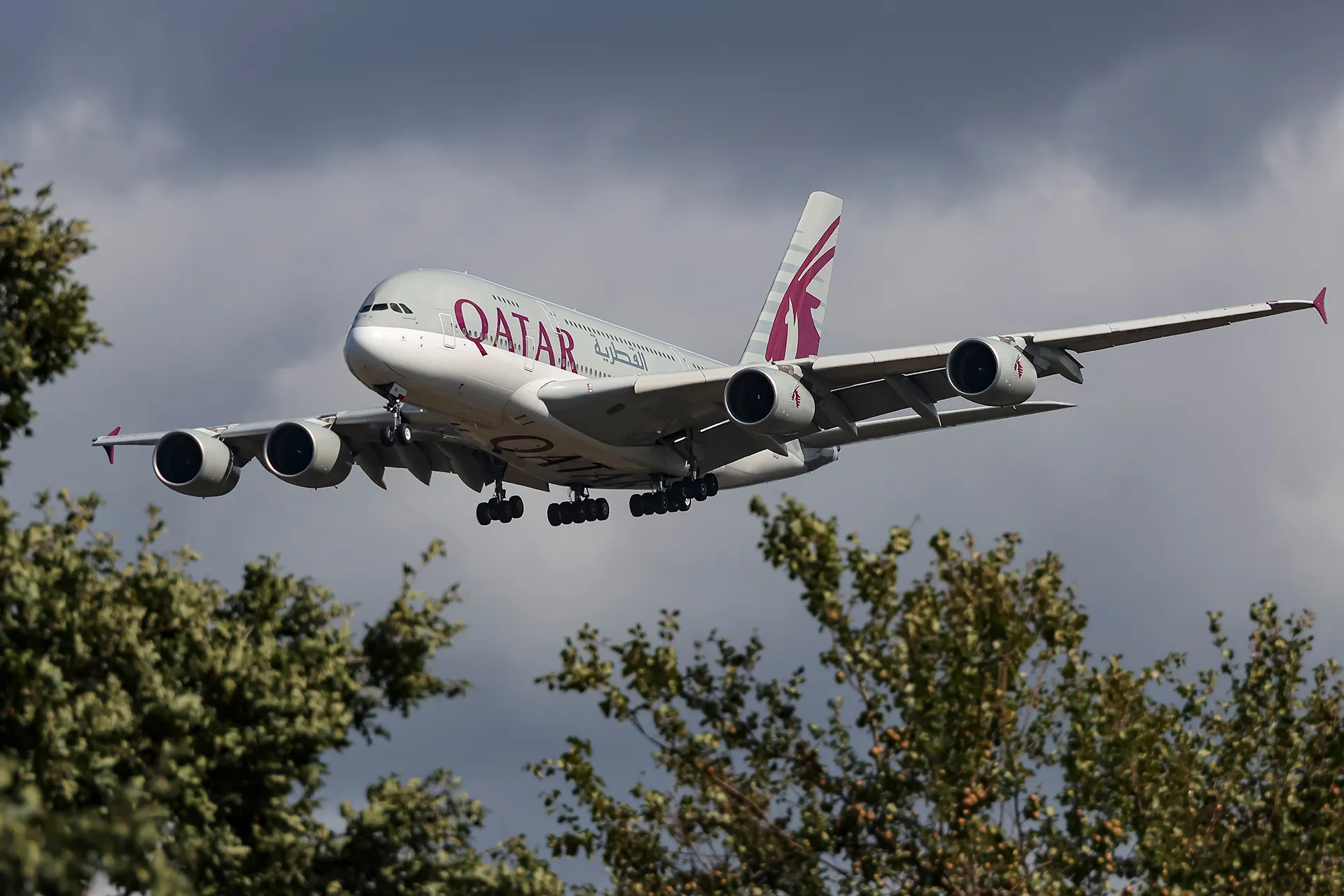 الخطوط القطرية تحلق مجددا وتسجل ارتفاعا ملحوظا في عدد الرحلات