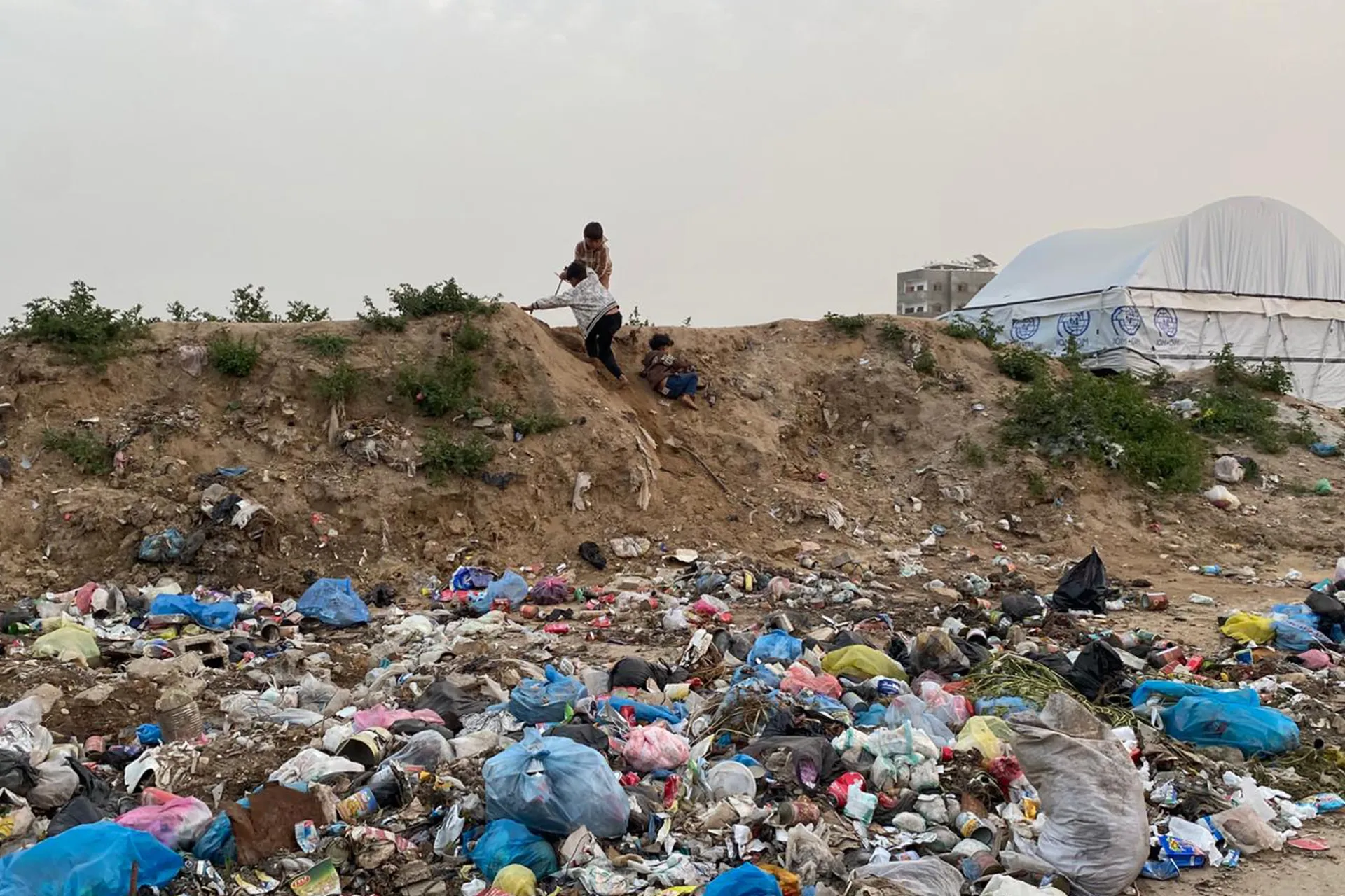 غزة تواجه خطرا صامتا تفشي القوارض ينذر بكارثة صحية