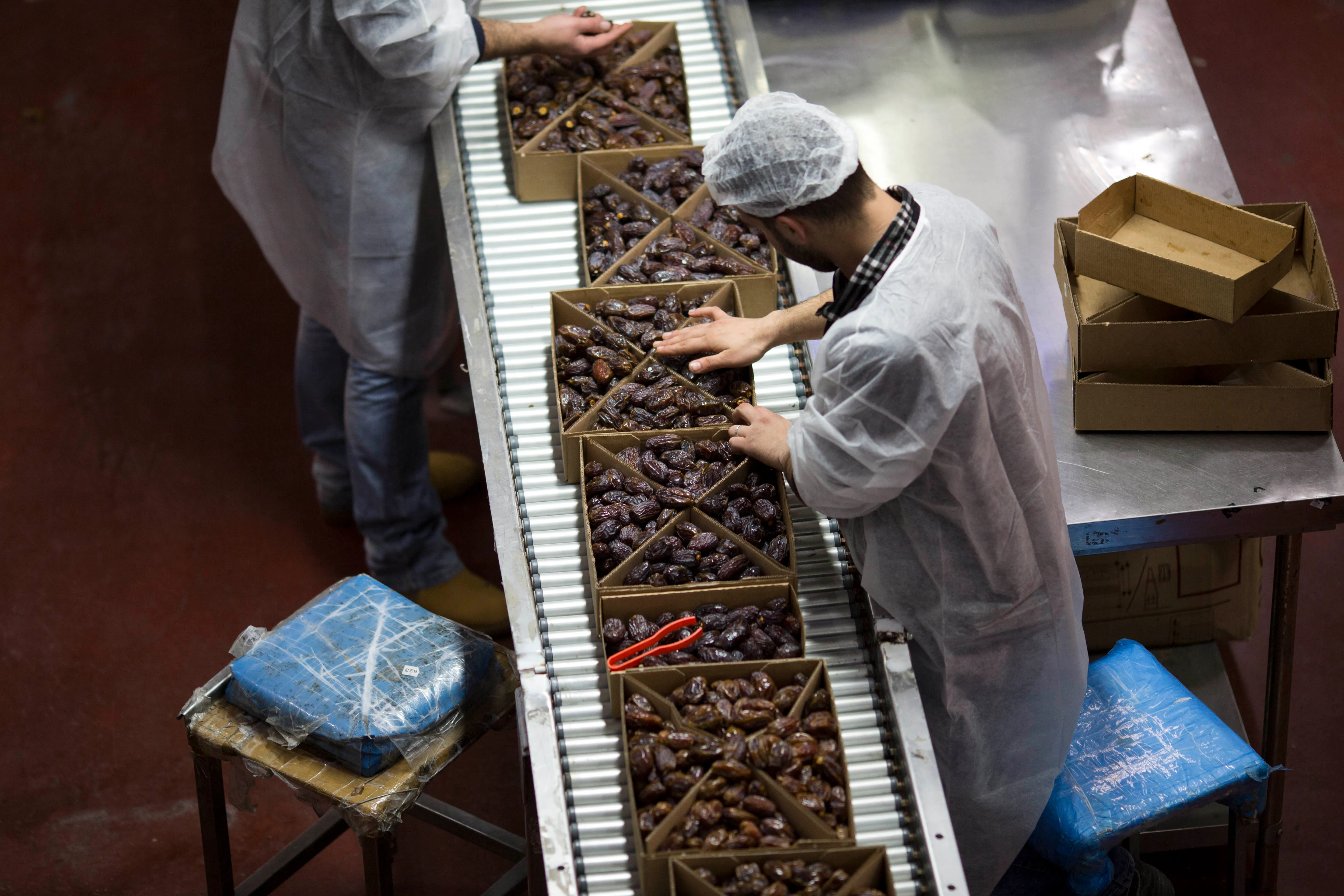 توقف الصادرات الزراعية يهدد مزارعي اسرائيل بخسائر فادحة