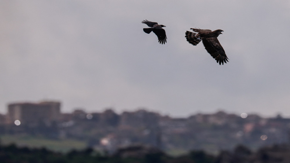 تصعيد وتفاوض اسرائيل ترفض هدنة فورية مع حزب الله وتوافق على محادثات ثلاثاء