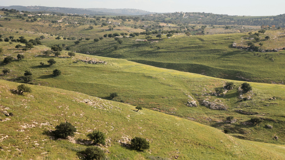 تقلبات جوية مرتقبة في الاردن بين برودة وارتفاع تدريجي للحرارة