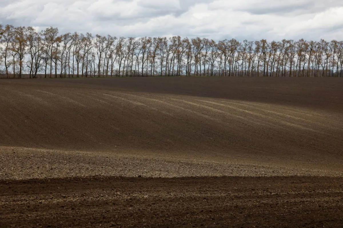 مخاوف من حصار هرمز ترفع اسعار القمح والذرة عالميا