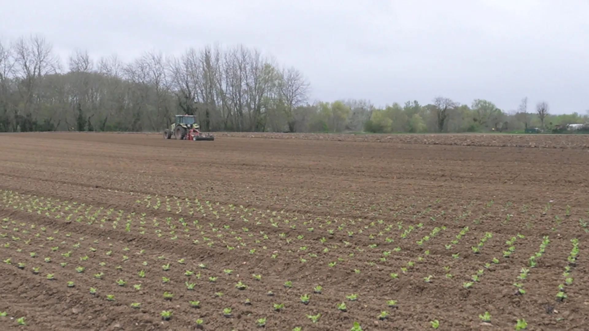 تأثيرات الحرب بالشرق الاوسط تلقي بظلالها على الانتاج في فرنسا