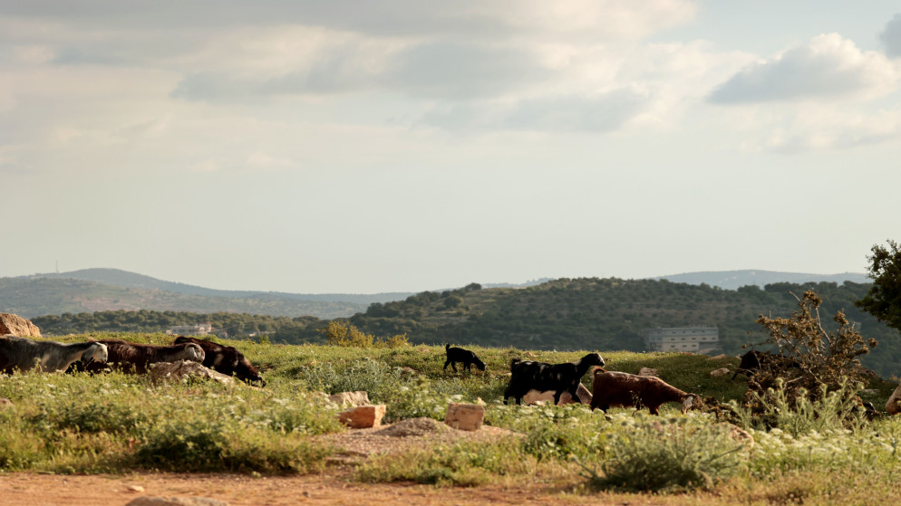 ارتفاع تدريجي في الحرارة وانحسار الغيوم في سماء المملكة