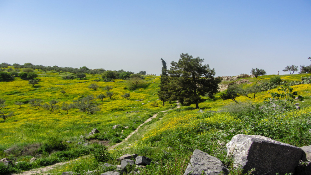 ارتفاع الحرارة يغير الاجواء الربيعية في الاردن