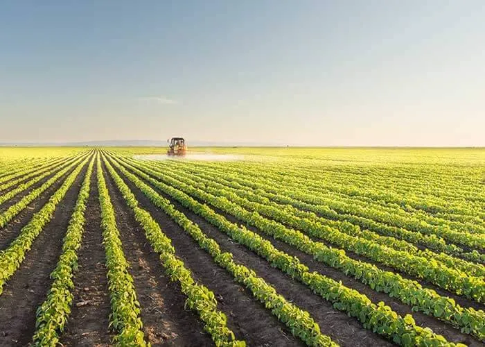 السعودية تعزز الاكتفاء الذاتي الغذائي وتواجه تحديات الإمداد بمرونة