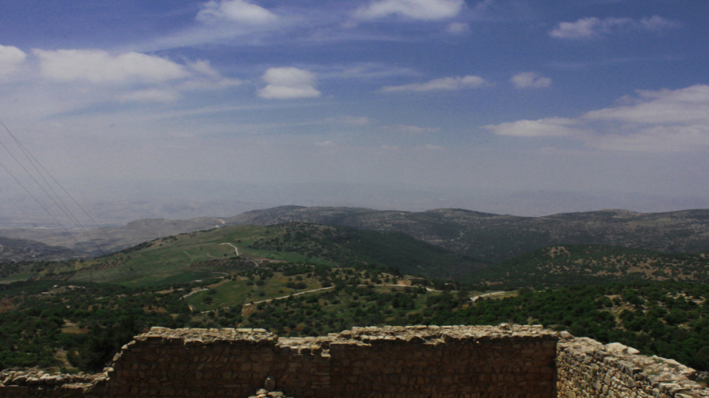 طقس مائل للبرودة يسيطر على المملكة مع تحذيرات من تدني الرؤية