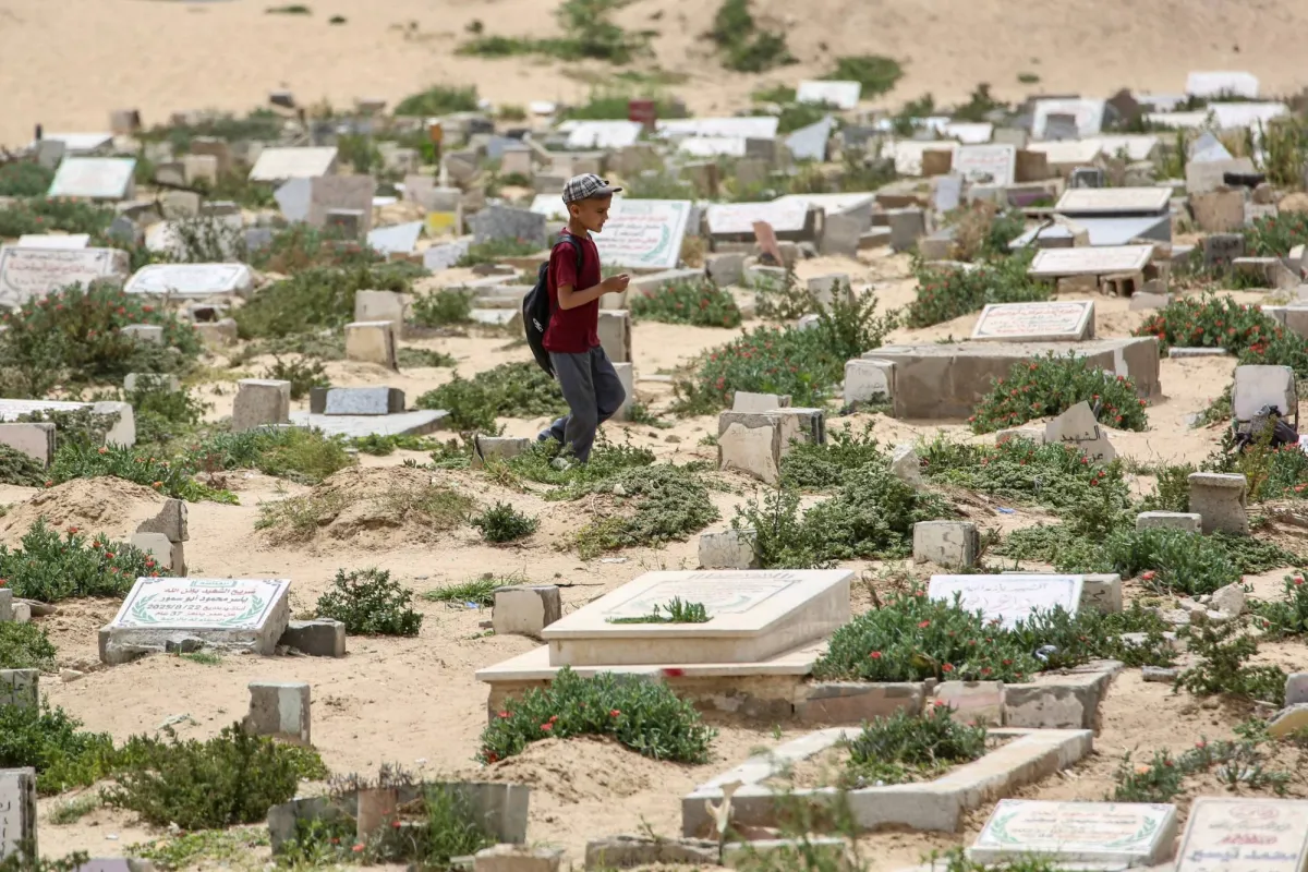 أزمة القوارض والحشرات تهدد سلامة النازحين في غزة