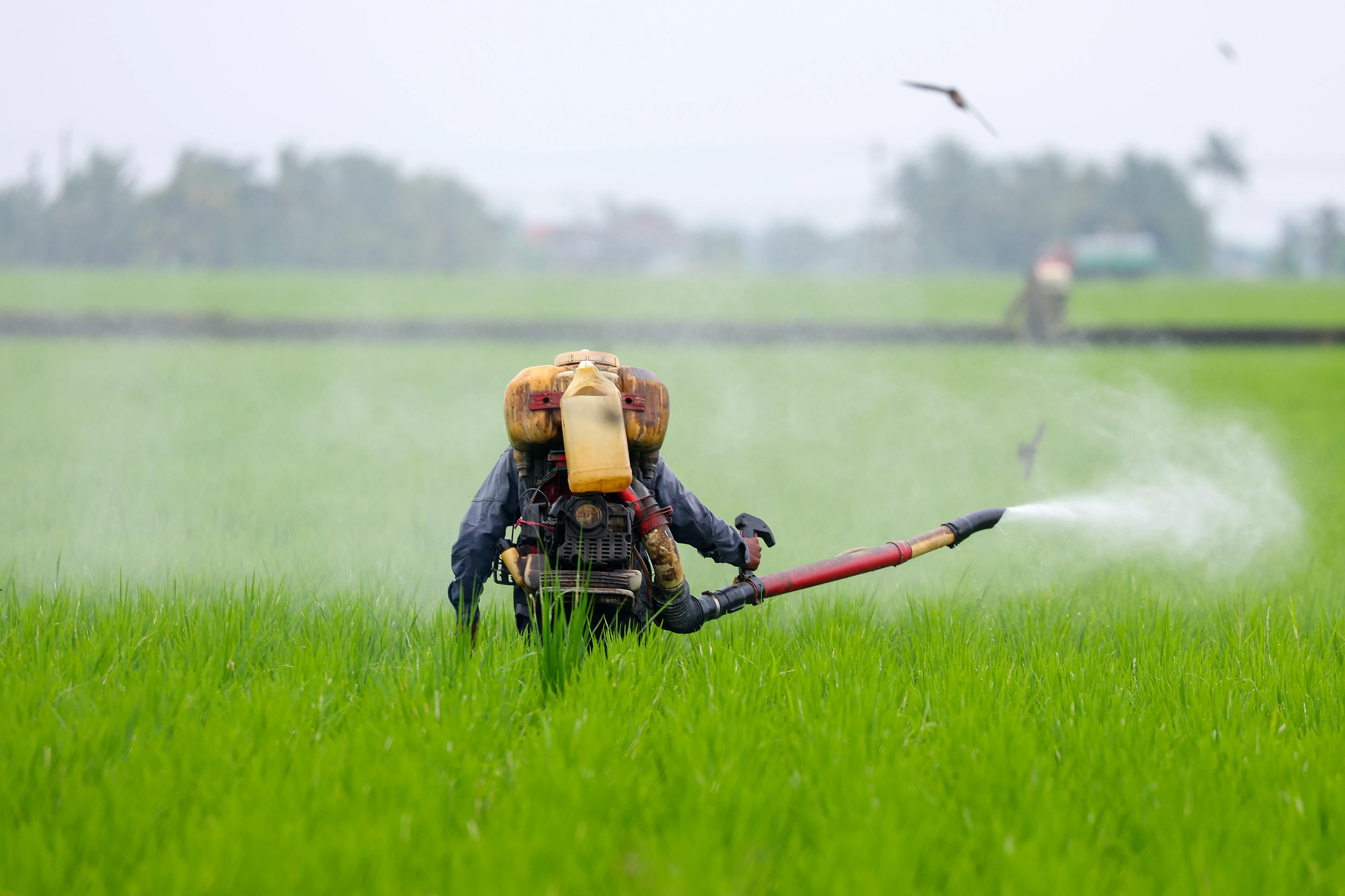 خطط مجموعة العشرين لمواجهة أزمة الغذاء والأسمدة تتصدر أجندة المحادثات