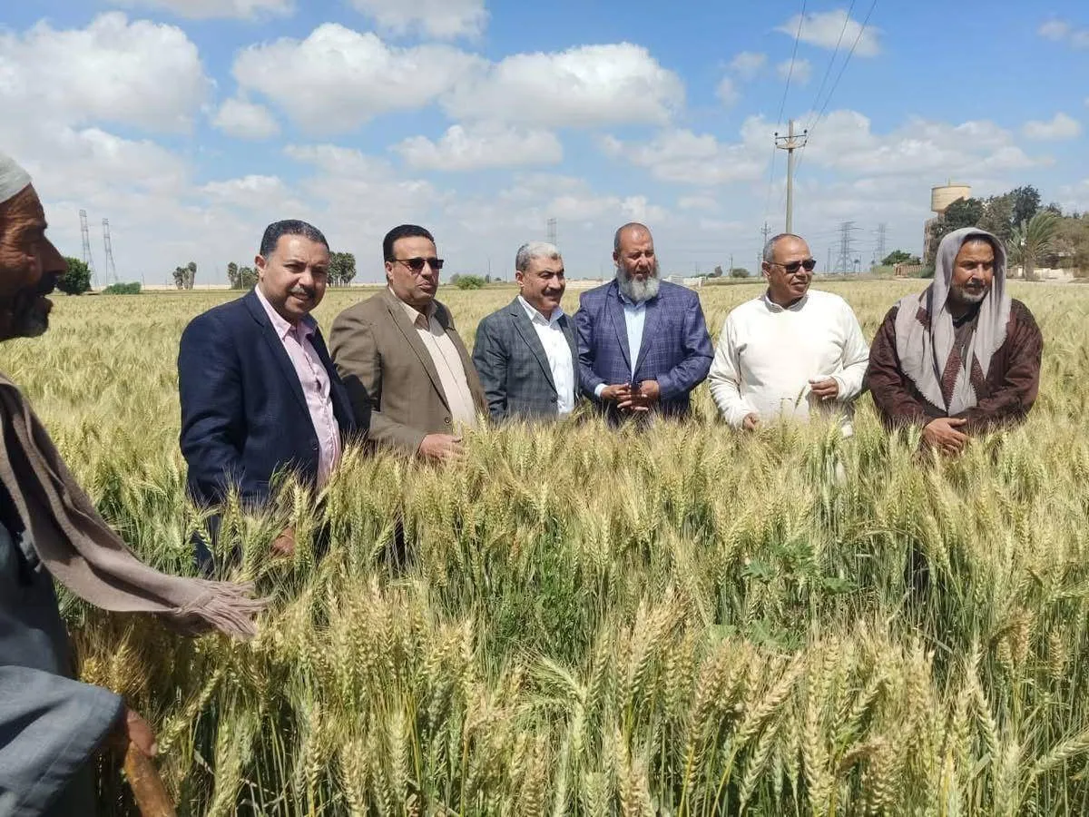 مخاوف من ارتفاع أسعار الغذاء في مصر بسبب تصعيد التوترات الإقليمية