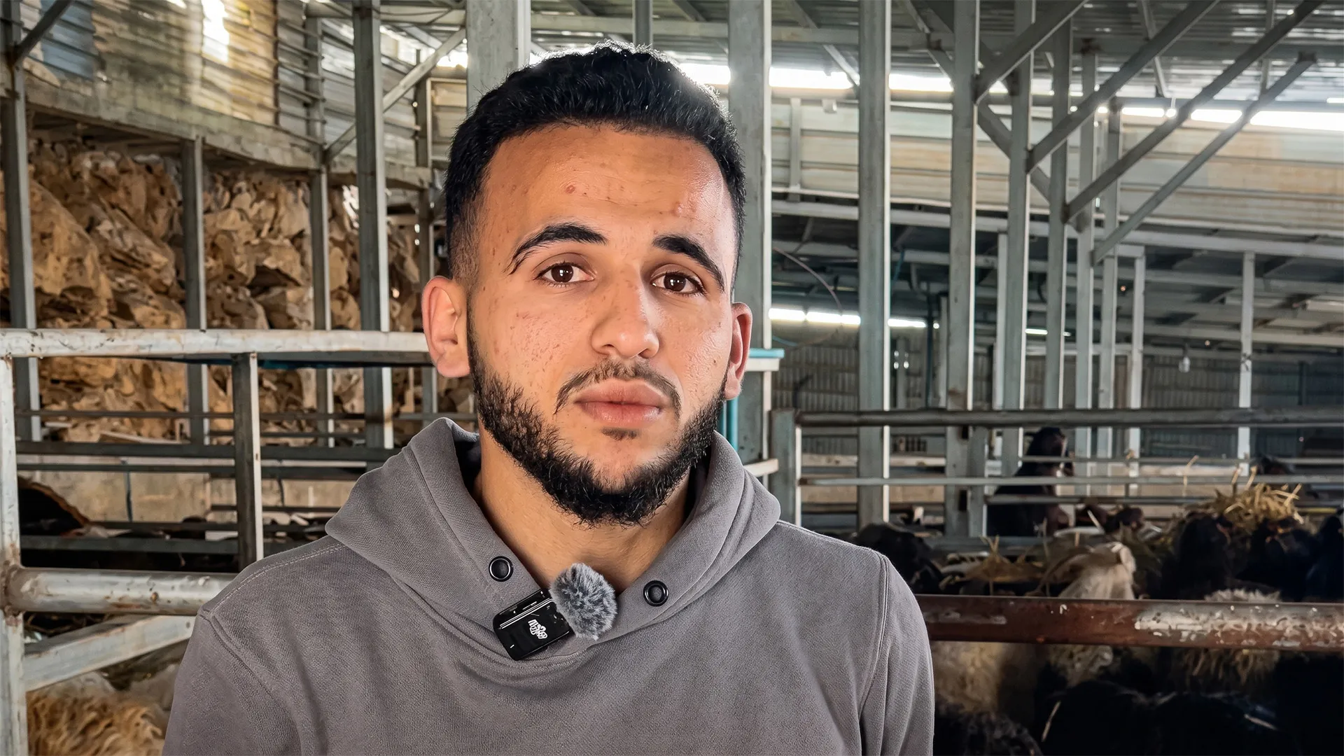 جنود الاحتلال يتحولون إلى لصوص عبر حواجز الضفة الغربية