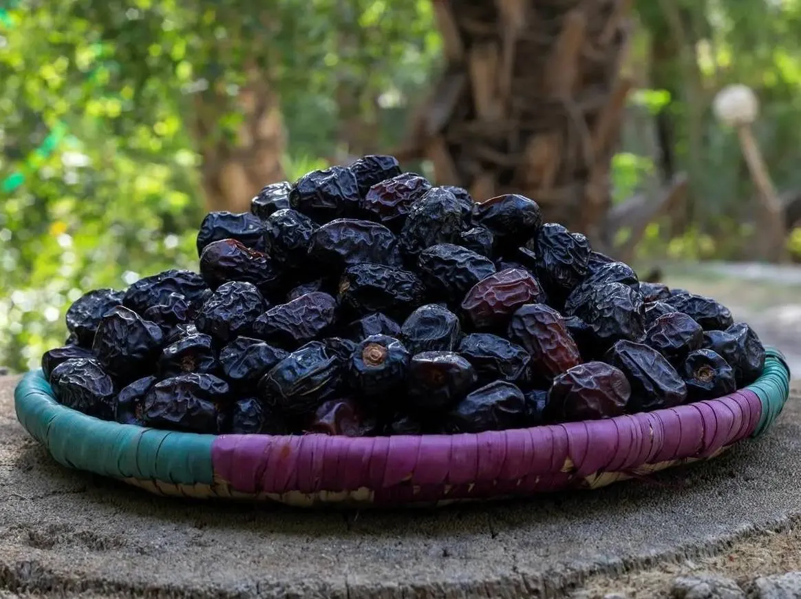 قفزة نوعية: صادرات التمور السعودية تسجل ارتفاعا قياسيا وتصل الى مستويات غير مسبوقة