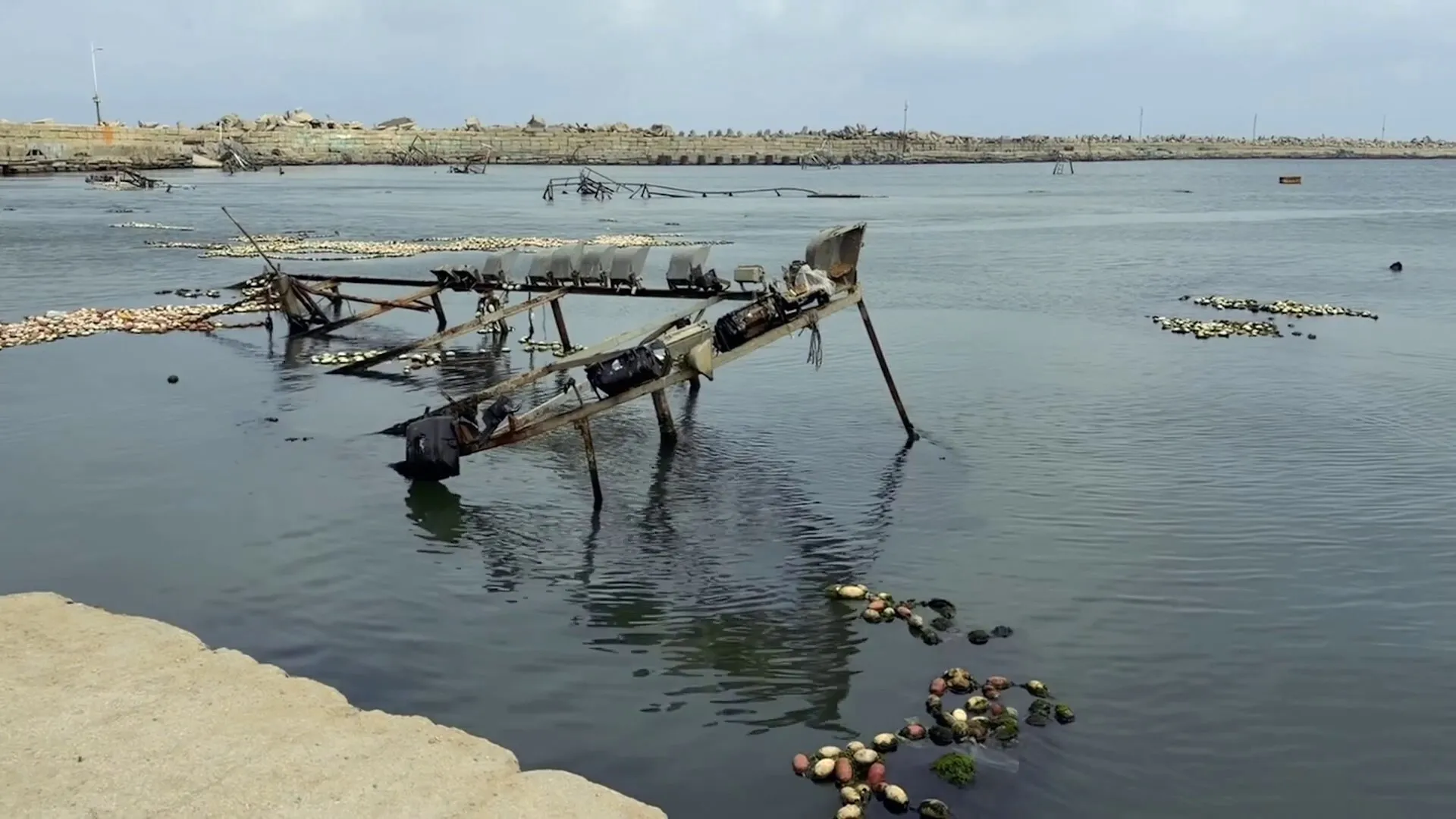 صيادو غزة تحت رحمة الاحتلال: قوارب تغرق وأرزاق تضيع