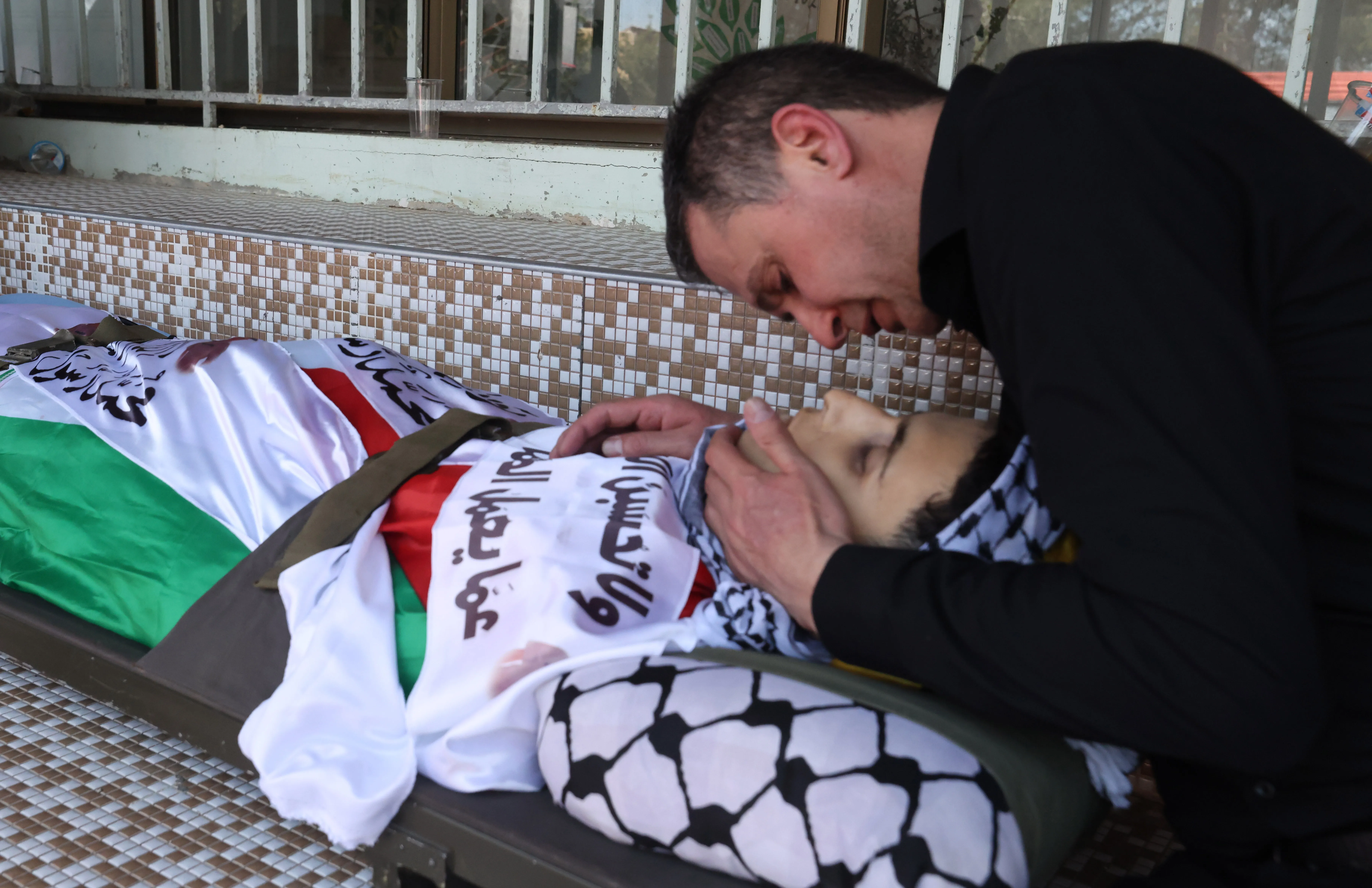 تصاعد التوتر في الضفة: إصابات واقتلاع أشجار يفاقم معاناة الفلسطينيين