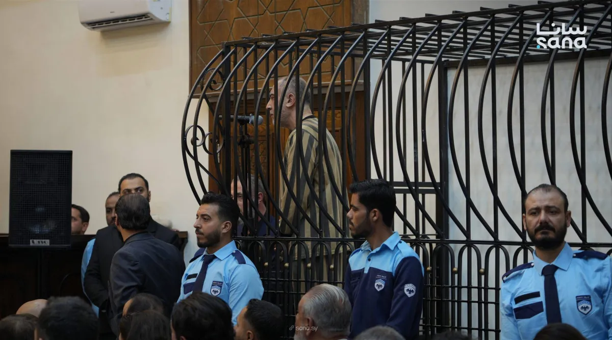 تطورات محاكمة نجيب.. فريق الادعاء يكشف تناقضات المتهم ويثبت الادانة