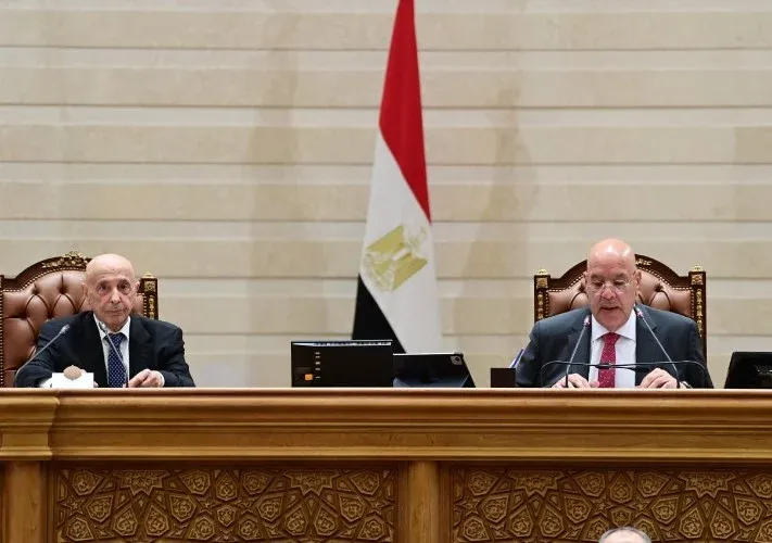 مصر تؤكد دعمها القوي لاستقرار ليبيا وحماية أمنها القومي