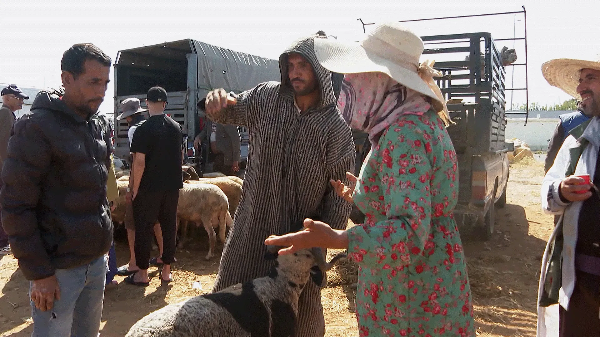 المغاربة يترقبون أسعار الأضاحي وسط جدل يسبق العيد