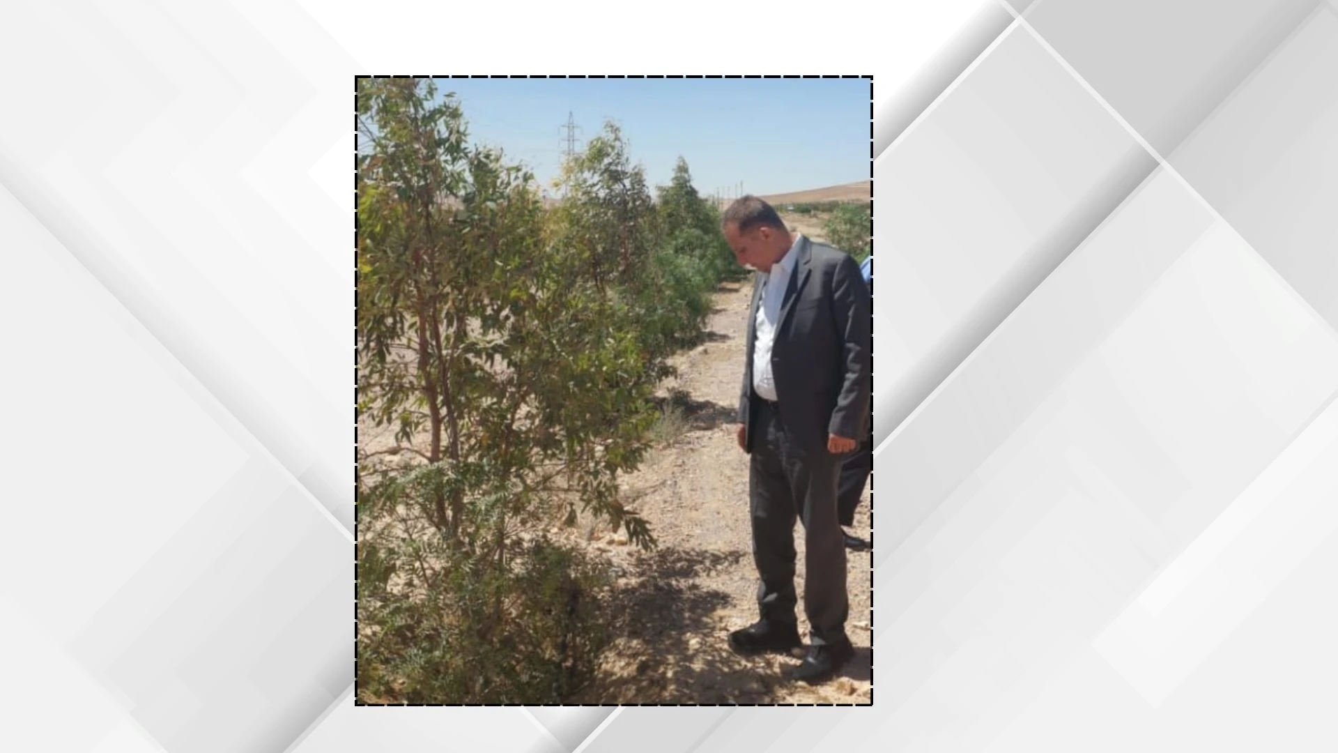 جولة ميدانية لوزير الزراعة في غابة اليوبيل الفضي بالقطرانة