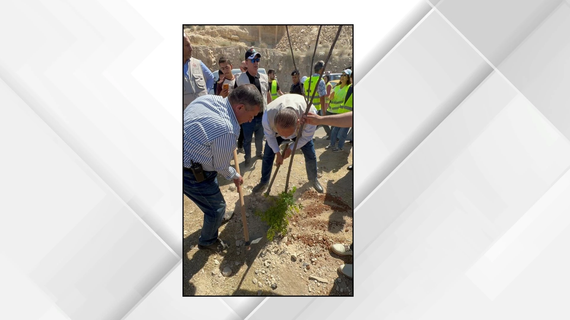 جهود بيئية مشتركة تعزز الغطاء النباتي في الزرقاء