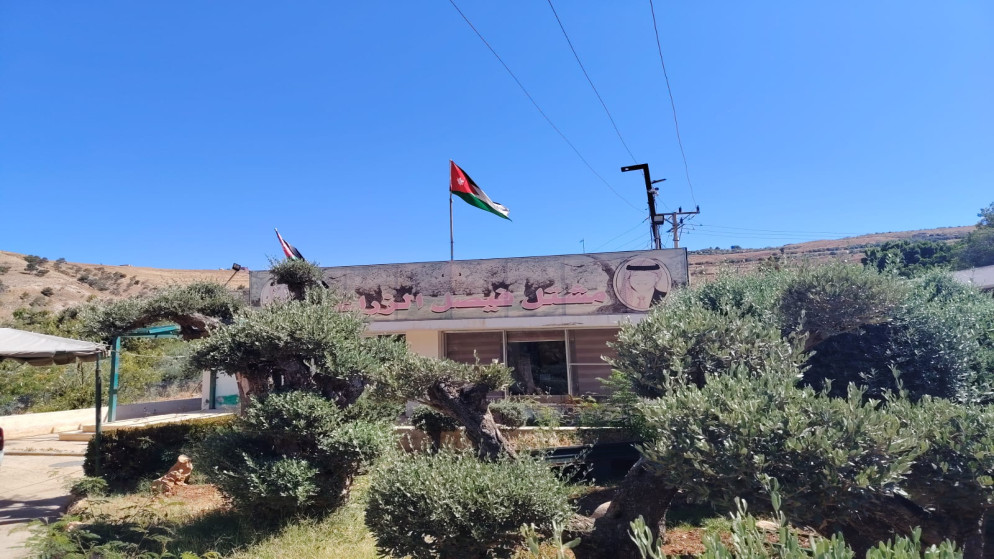 نجاح مشتل فيصل الزراعي في إنبات الفستق الحلبي الهجين بنسبة قياسية