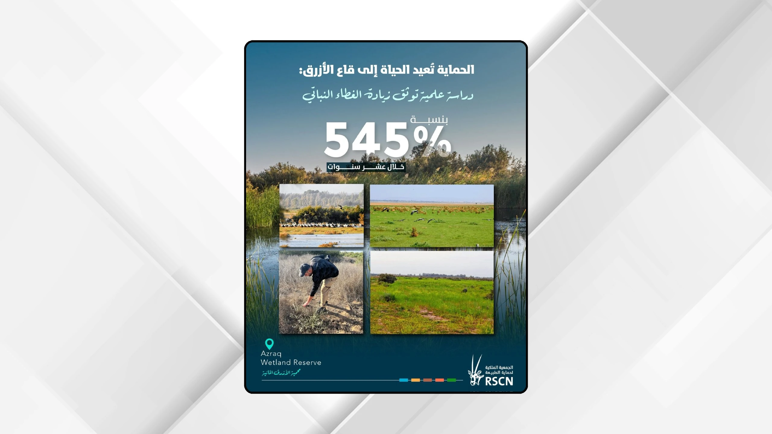 نجاح جهود استعادة الغطاء النباتي في قاع الأزرق بنسبة 54.4