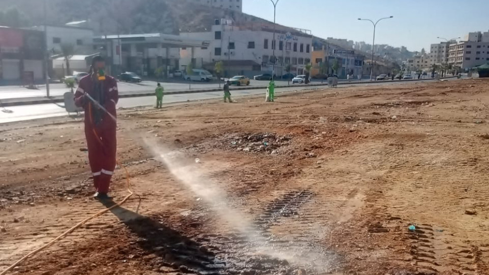 جهود مكثفة في جرش لمكافحة الحشرات خلال الصيف
