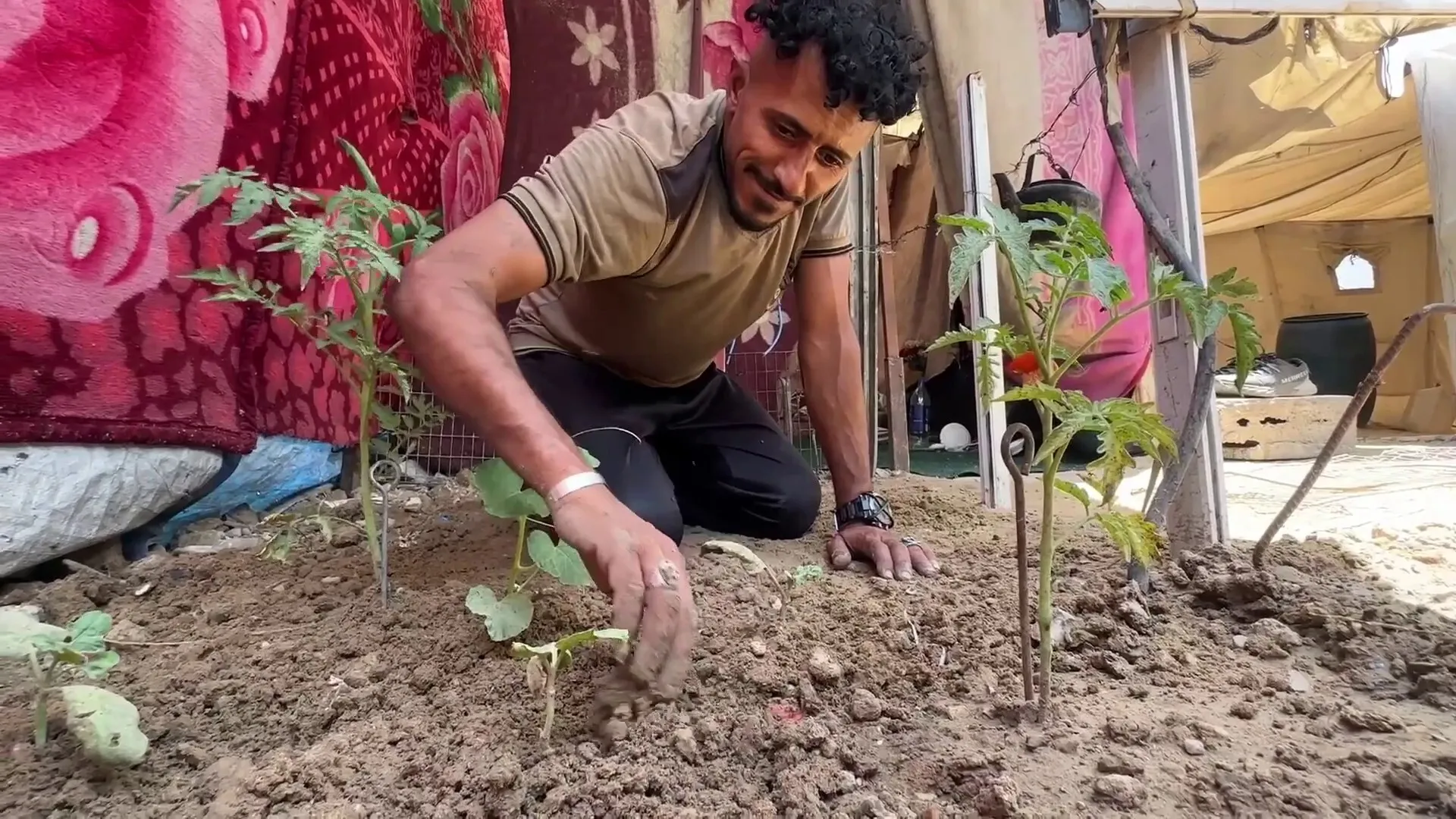 مزارعو غزة يزرعون الأمل وسط الدمار