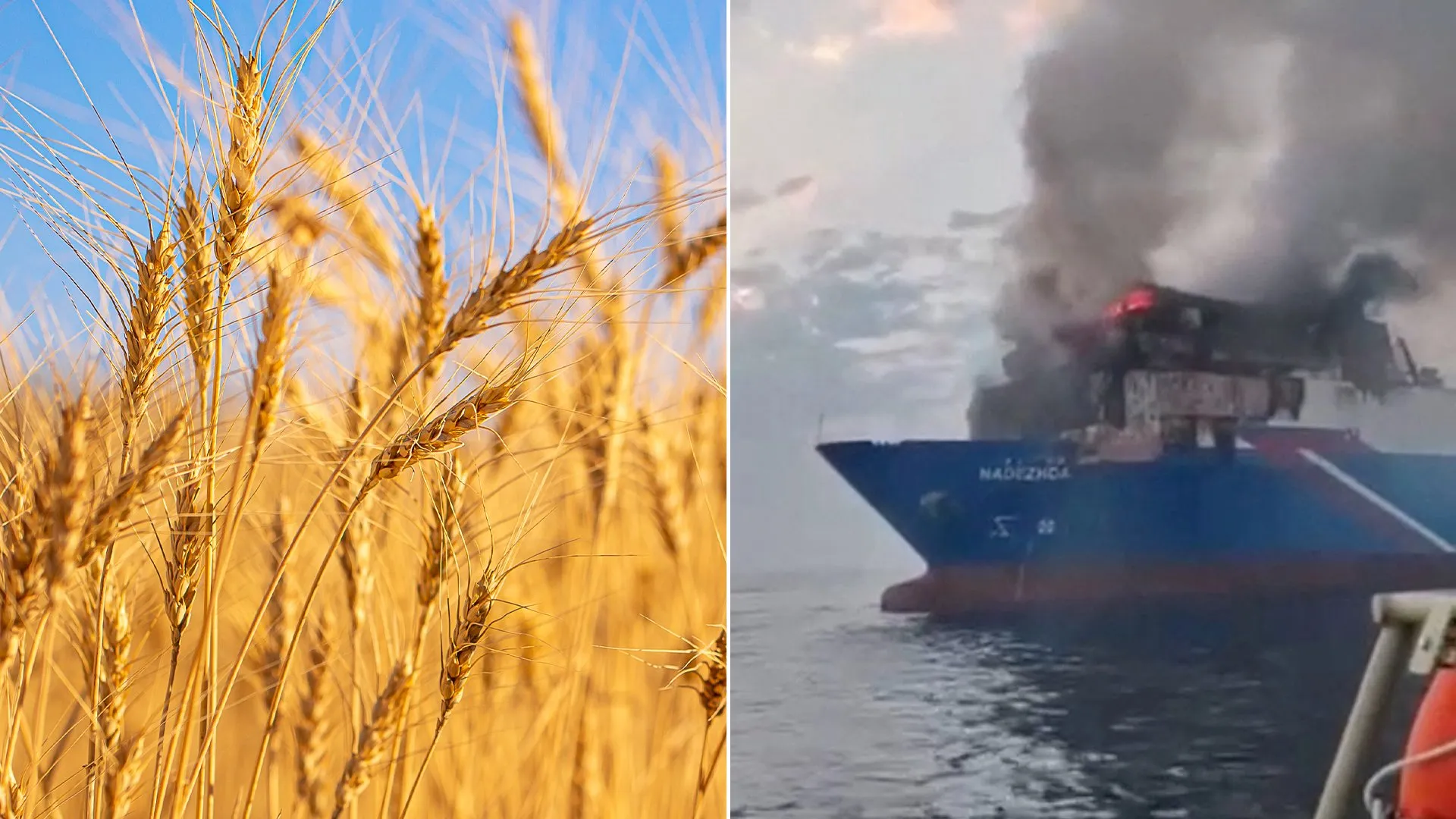 اضطراب الملاحة في البحر الاسود يهدد الامن الغذائي ويرفع اسعار القمح عالميا
