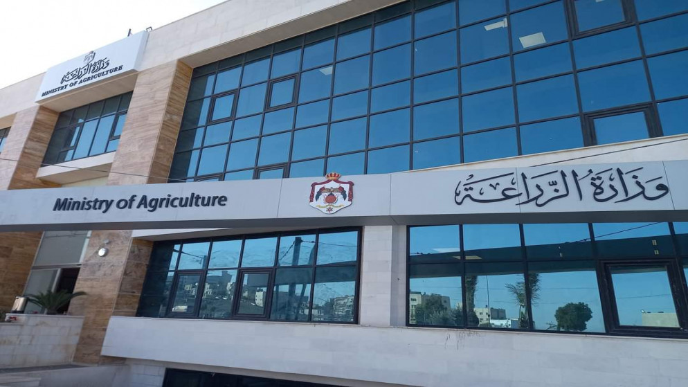 البترا تتوج عاصمة للزيتون الاردني لتعزيز السياحة الزراعية