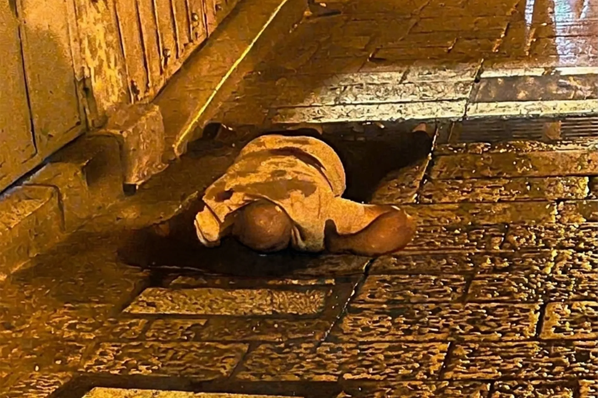 توتر امني في القدس بعد استشهاد شاب برصاص الاحتلال قرب باب العمود