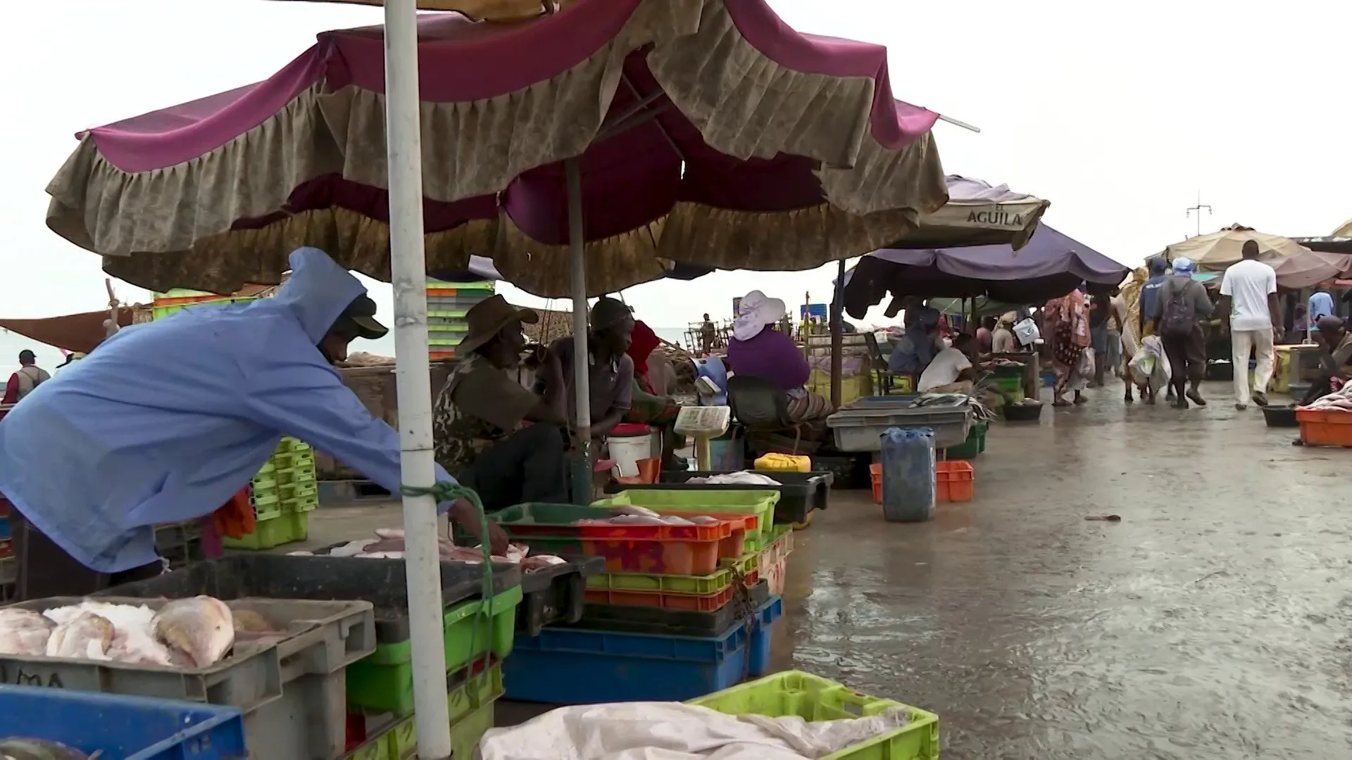 ازمة الاسماك في موريتانيا.. لماذا تحولت ثروة الشواطئ الى عبء على المواطنين