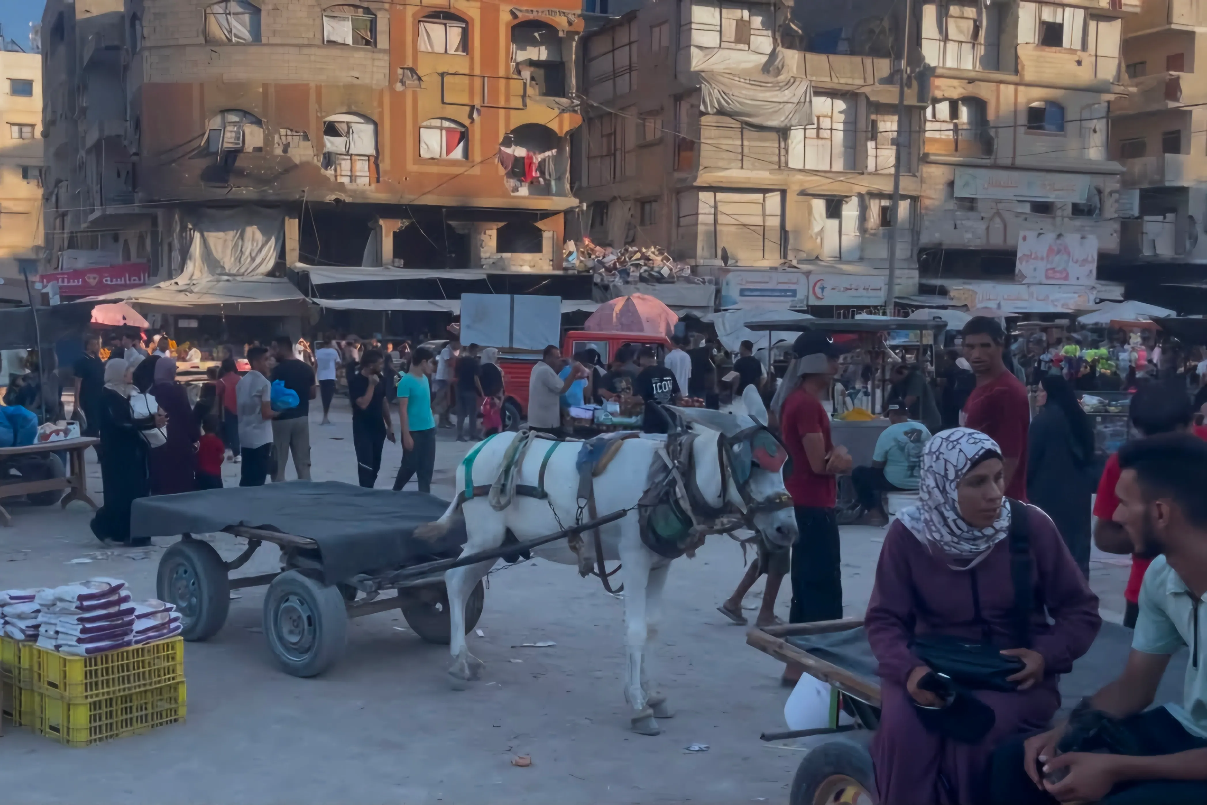 بديل قسري في غزة.. كيف تحولت عربات الحمير الى شريان حياة مكلف؟