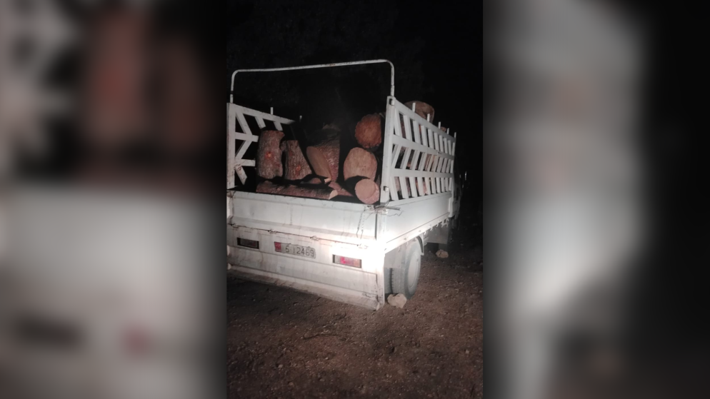 ضربة قوية لناهبي الاحراج في جرش وضبط كميات ضخمة من الحطب