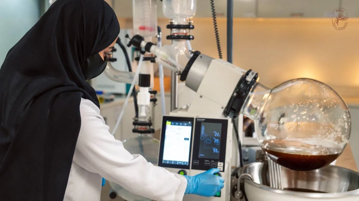 من قلب العلا الى العالم.. كيف تحول شجر البان الى ثروة اقتصادية سعودية؟