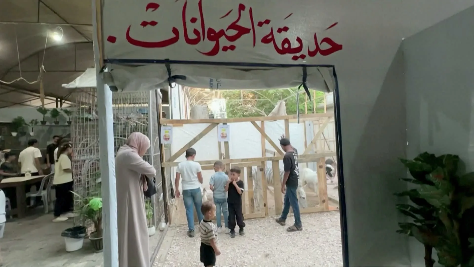 حمار وحشي بلمسة فنية يمنح اطفال غزة لحظات من الفرح وسط الركام