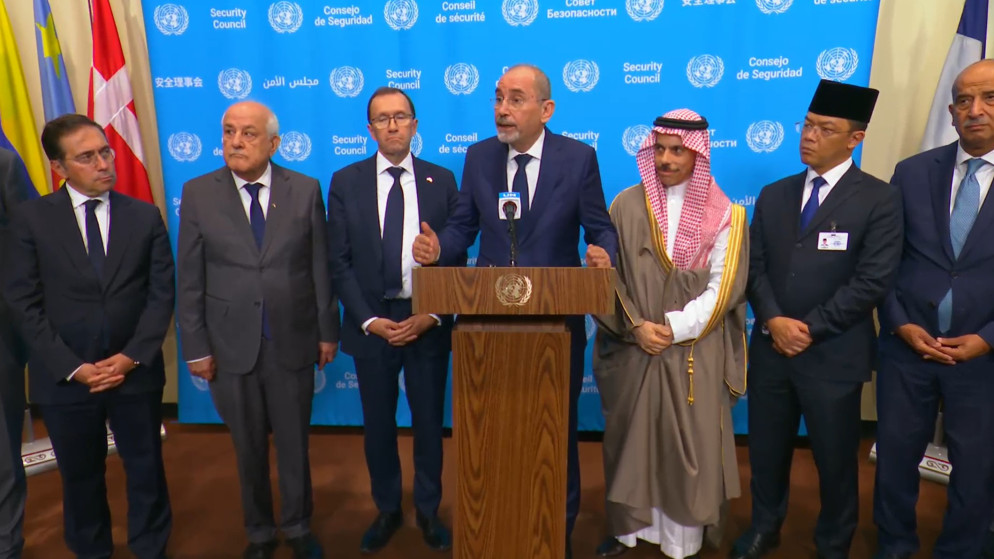 الصفدي يقطع الطريق على الاطماع الاسرائيلية ويحذر من مخططات تصفية القضية الفلسطينية