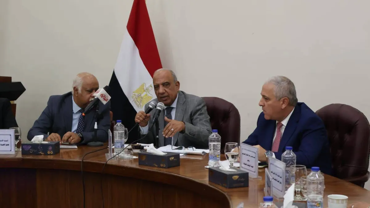 الربط الكهربائي بين السعودية ومصر يدخل مرحلة التشغيل التجريبي لتعزيز امن الطاقة
