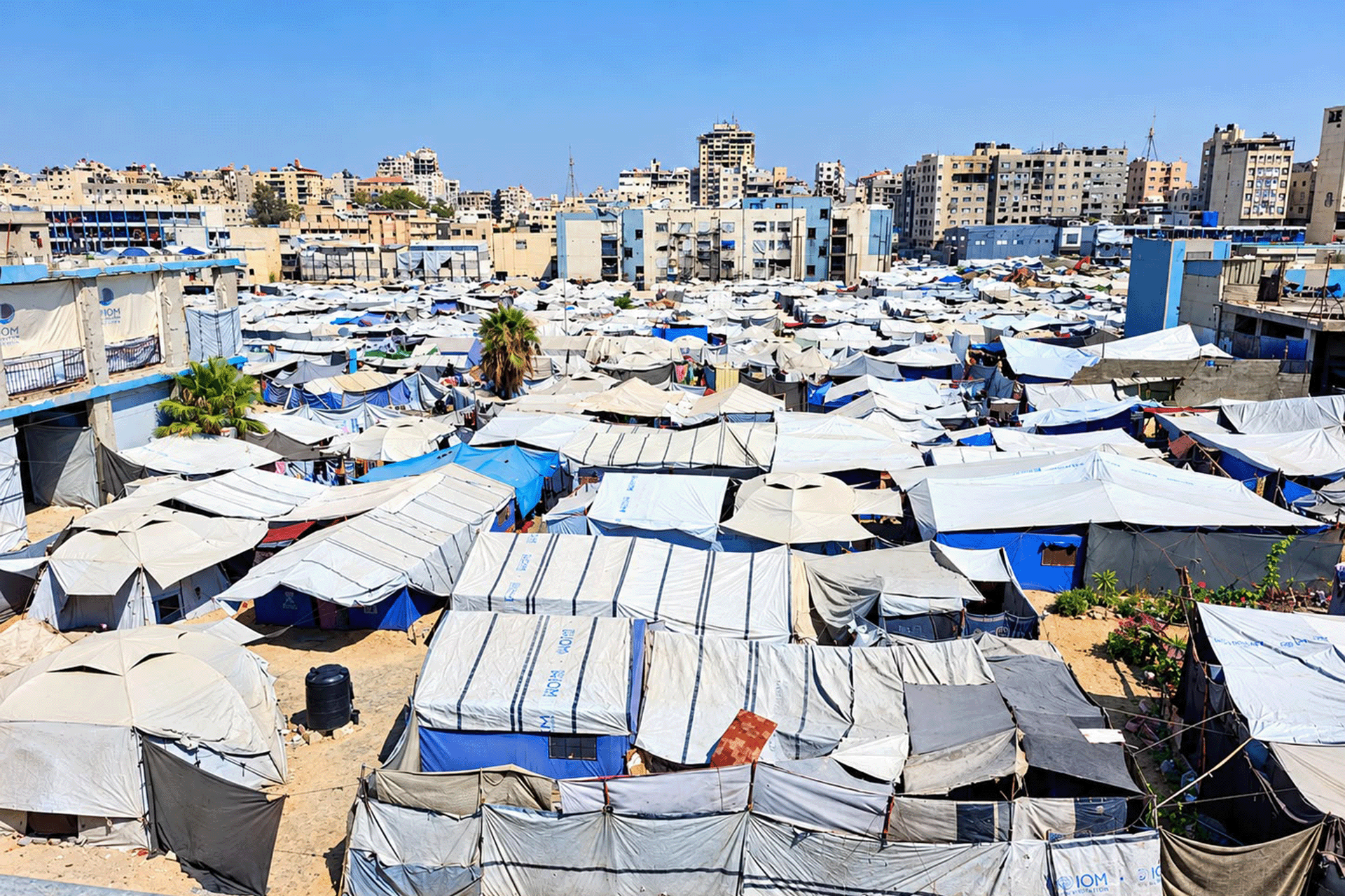 رحلة الوجع المستمر.. غزيون يروون تفاصيل النزوح المتكرر وفقدان المأوى