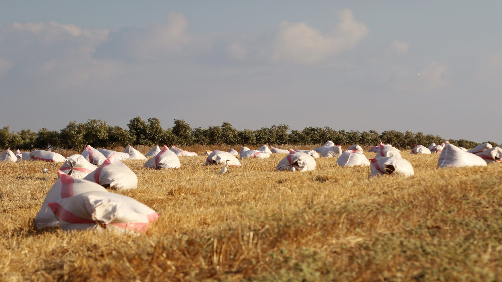 مستقبل الامن الغذائي في الاردن مرهون بحماية الاراضي الزراعية وتمكين المرأة الريفية