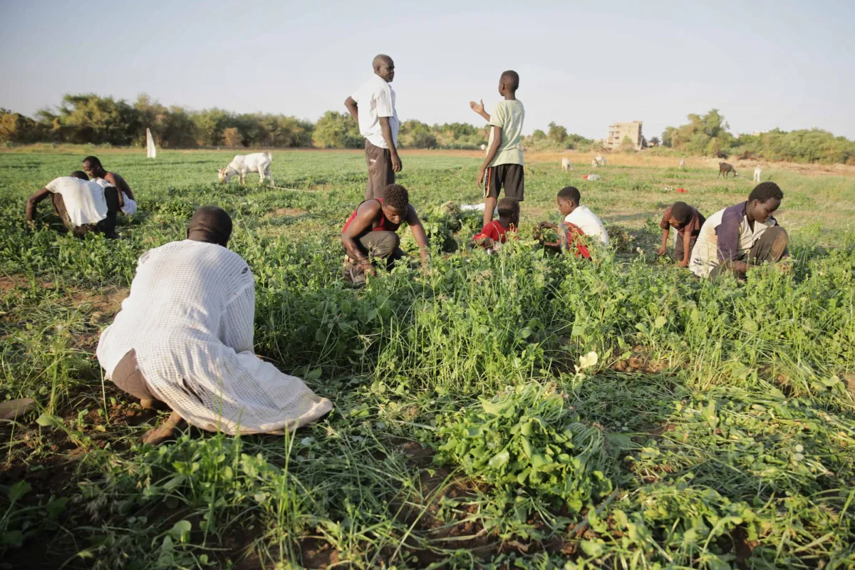 جوع ومستقبل مجهول.. كيف يعيش عمال اليومية في السودان تحت وطاة الحرب